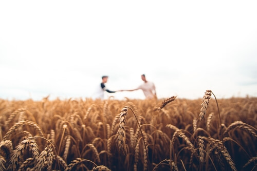 a welcome email is like a handshake